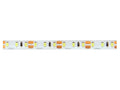 LED-strip 600/5m SMD 12V 6500K 9,6W IP65 8mm 5m 960lm/m LITE