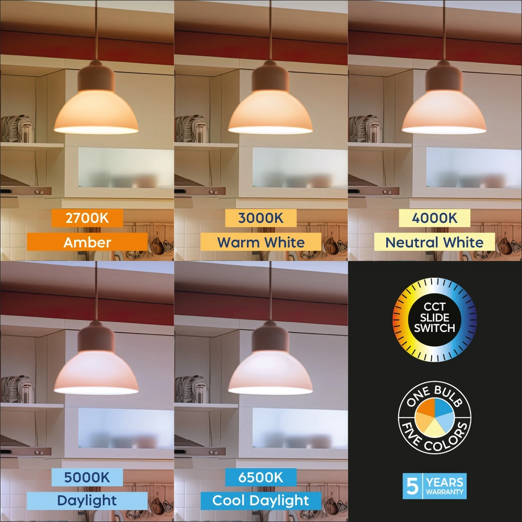 Braytron Premium LED Lamp E27 13,5W A65 5IN1