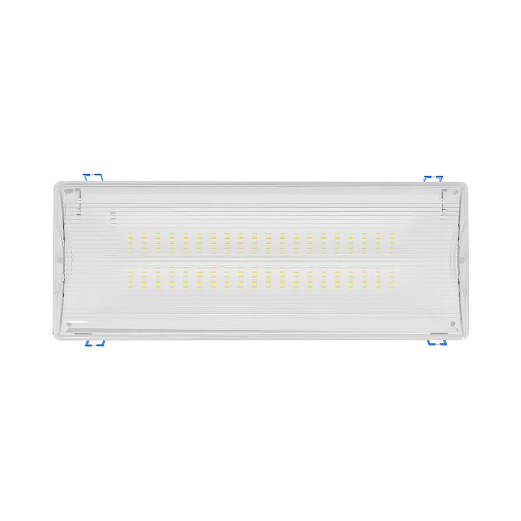 Braytron Exit Nooduitgangverlichting 5W IP65 Wit LED DUAL