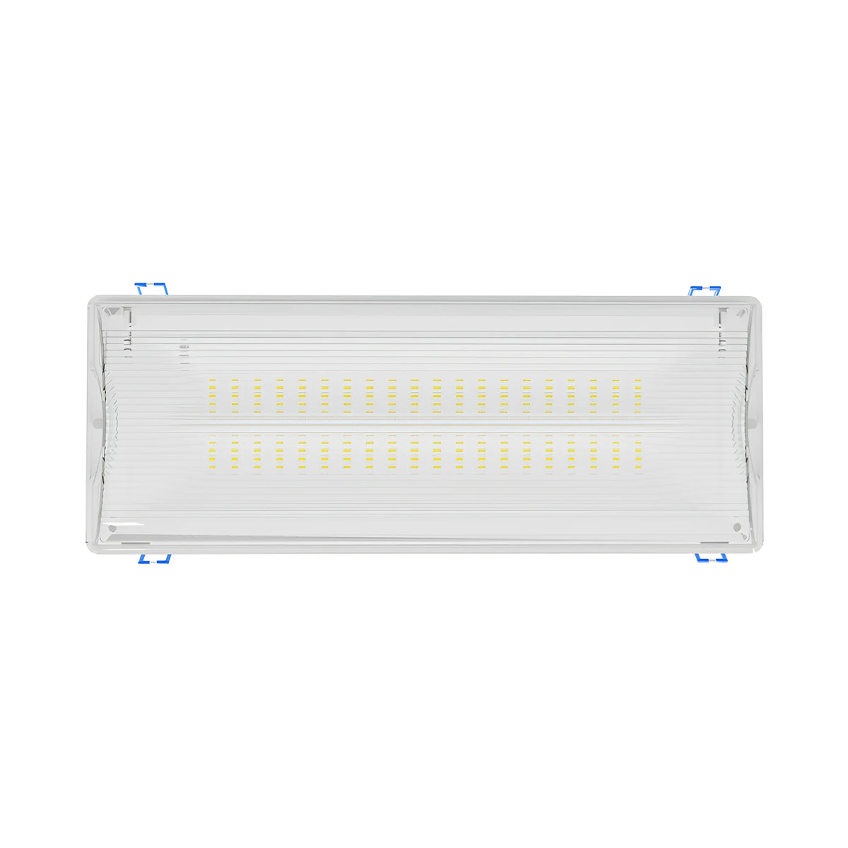Braytron Exit Nooduitgangverlichting 5W IP65 Wit LED DUAL