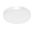 Braytron Grande Plafondlamp 20W IP65 RND 5IN1 SNS
