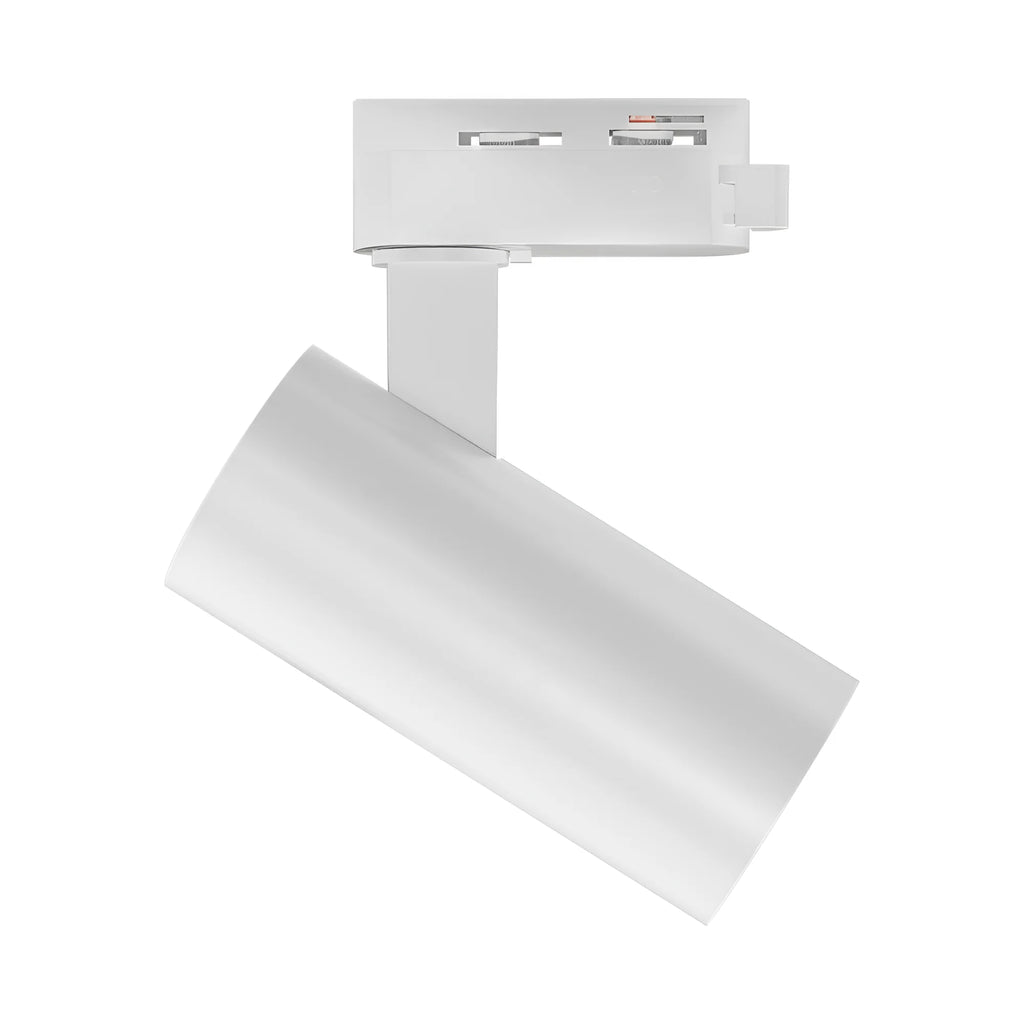 Braytron Shopline Railspot 15W Wit P15 2WRS 3IN1