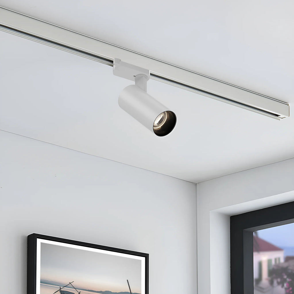 Braytron Shopline Railspot 30W Wit P30 2WRS 3IN1