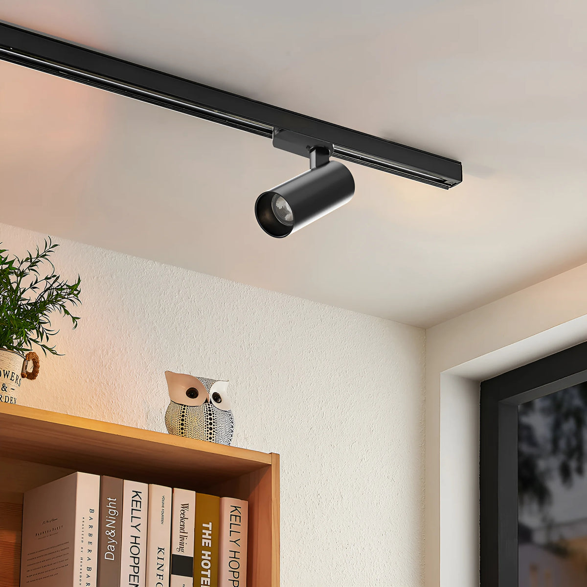 Braytron Shopline Railspot 30W Zwart P30 2WRS 3IN1