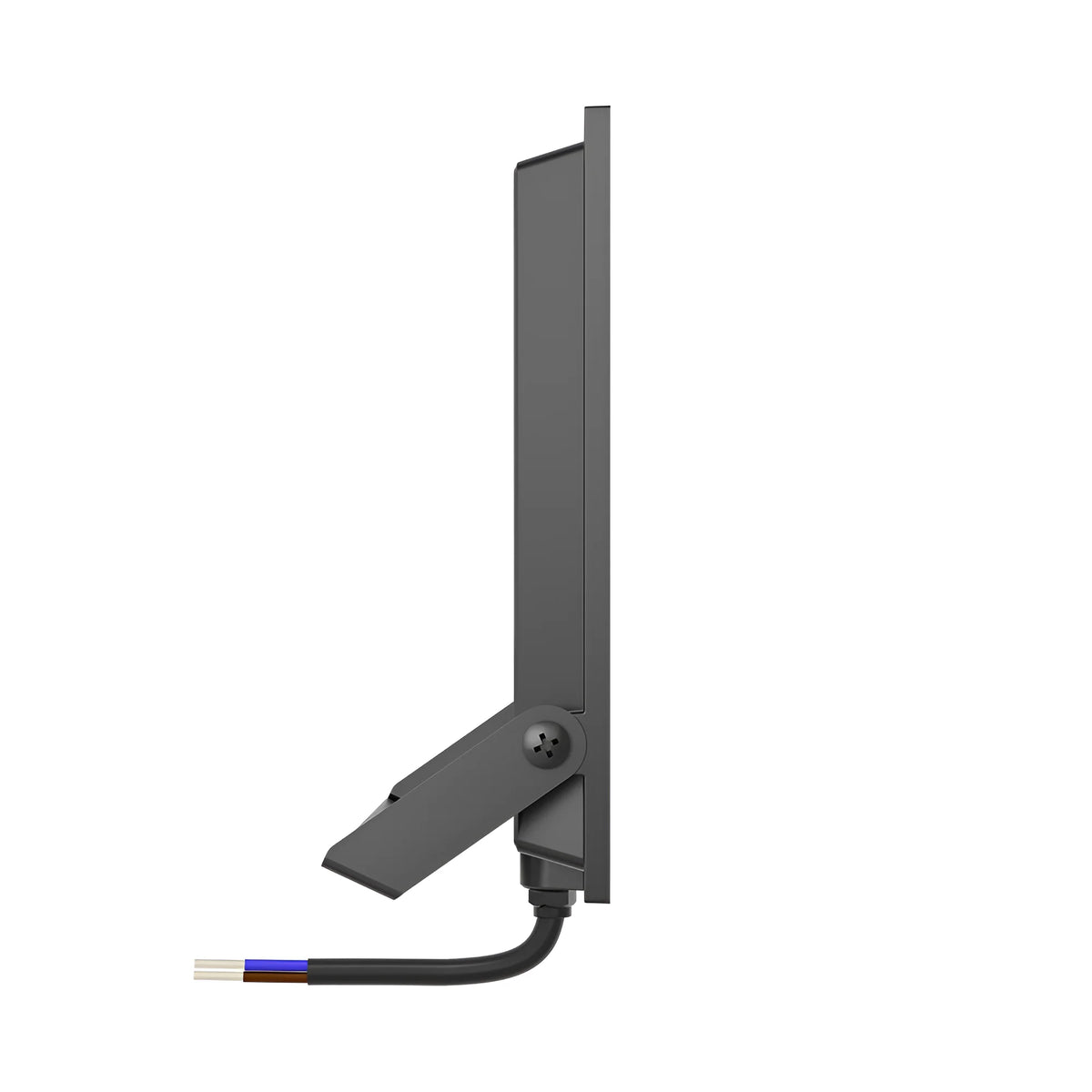 Braytron Flood LED Schijnwerper 100W 6500K IP65 Zwart CF
