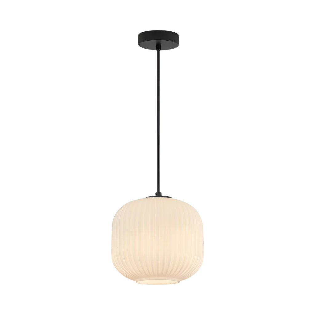 Braytron S009R Hanglamp Zwart 1H 1xE27 OPL