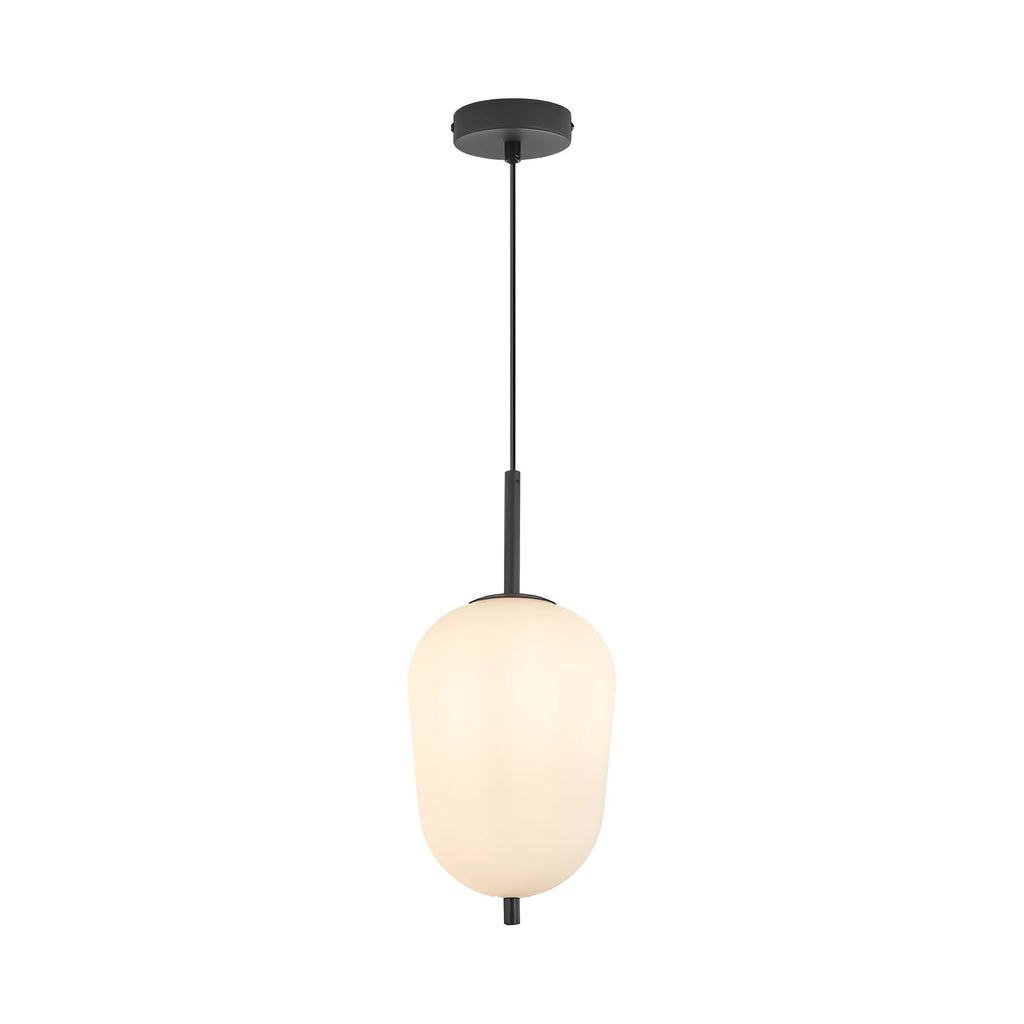 Braytron S011R Hanglamp Zwart 1H 1xE14 OPL