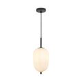 Braytron S011R Hanglamp Zwart 1H 1xE14 OPL