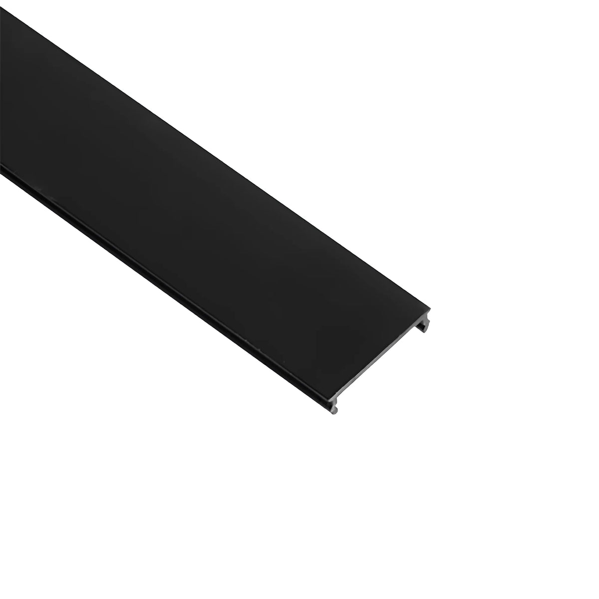 Braytron Sr02 Magneetrail-armatuur 48VDC Zwart 2M